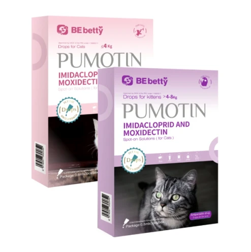 Pumotina